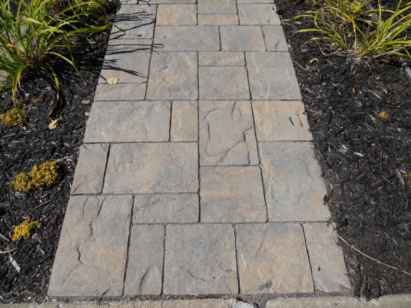 Stamped Concrete Staining in Redmond