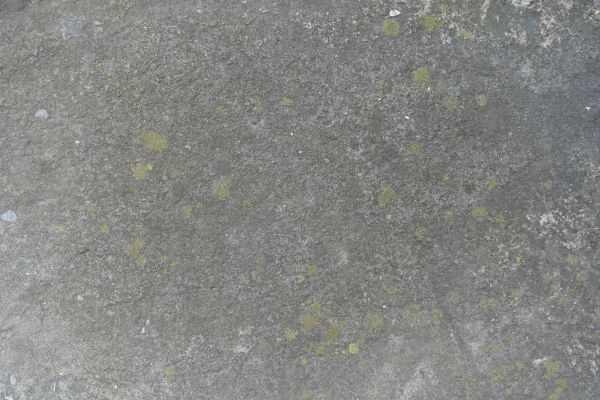 Slab Staining Service in Redmond