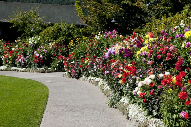 Concrete Coloring Service